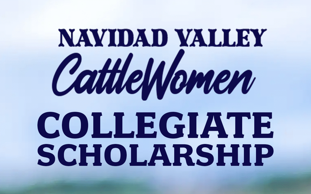 Navidad Valley Cattle Women Seeking Applicants for Collegiate Scholarship