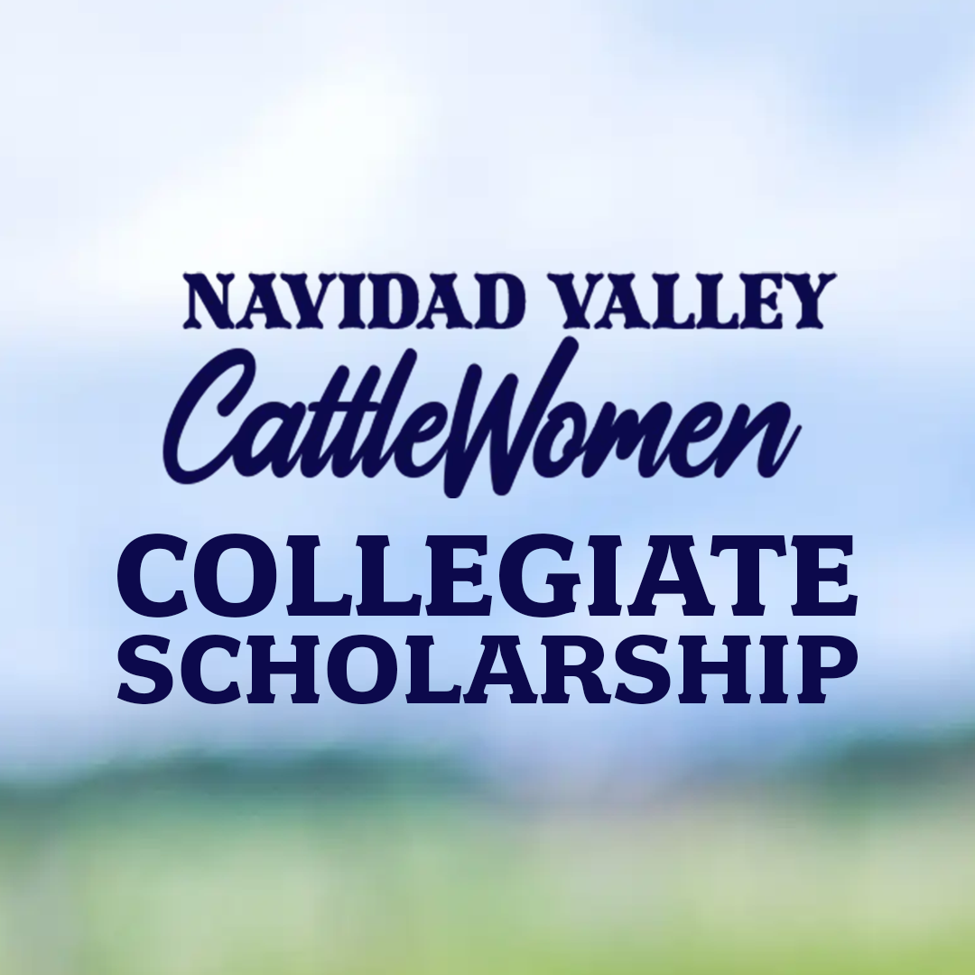 scholarship